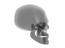 Skull of human head for study Stock Footage