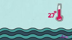 What's a Hurricane? Instructional Video