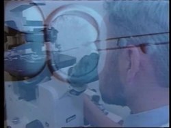 USA - Reactions to cloning of sheep News Clip