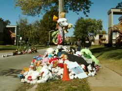 News Report Offers New Details Of Encounter Between Michael Brown And Ferguson Cop Stock Footage