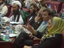 MS Shukria Barakzai voting with red card AUDIO / Kabul, Kabul Province, Afghanistan Stock Footage