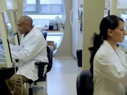 MS PAN Lab technicians using micro-pipette in fume hood at Cancer research Healthcare medicine Industry  DNA sequencing Laboratory / Vancouver, BC, Canada    Stock Footage