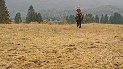 SLO MO Cowgirl riding on her horse through countryside Stock Footage