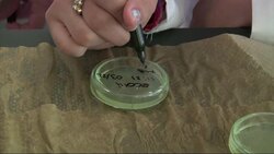 Mixing Job Training with Academics in Schools News Clip