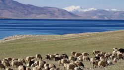 lake of tibet Stock Footage