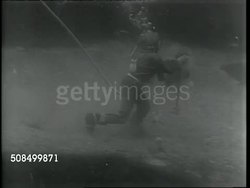 Divers Work Together for Interesting Farming News Clip