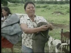 NICARAGUA: HURRICANE MITCH AFTERMATH LATEST (2) News Clip