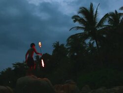 HD:Fire show. Stock Footage