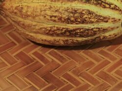 MS TU Cacao fruits on basket / Kasai, Chiba, Japan Stock Footage