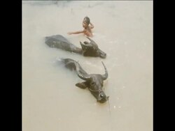 SYND 6 8 71  WAR REFUGEES FLEE FROM BRUTAL SOUTH VIETNAMESE TROOPS News Clip