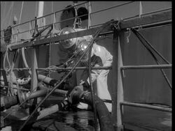 DANGEROUS CARGO News Clip