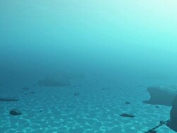 Underwater Stock Footage