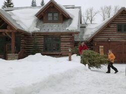 WS PAN Father and son bringing Christmas tree up to front door of log cabin / Sun Valley, Idaho, United States Stock Footage