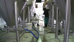 VOICED : Soweto Gold aims to convert black S Africans to craft beer News Clip