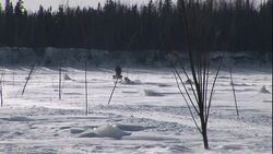 Sled dogs pull a sled across a snowy field. Stock Footage