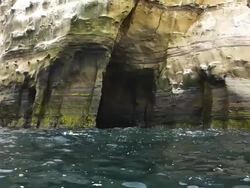 Sea kayaking the La Jolla Caves Stock Footage