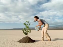 Woman watering plant in desert landscape Stock Footage
