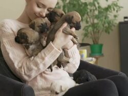 Girl and puppies Stock Footage