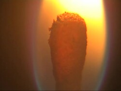 matchstick Stock Footage