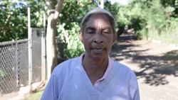 Aumentan los animales abandonados en Puerto Rico tras el huracán Instructional Video