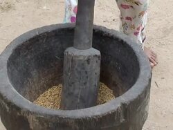Woman grinding grain with a pestle, village of Mapajo inhabited by the tribe of Mosetenes, Bolivia, Amazon Stock Footage