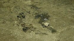 VOICED : Matan a adolescente palestino en Jerusalen News Clip