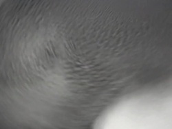 Science expo showing fluid turbulence Stock Footage