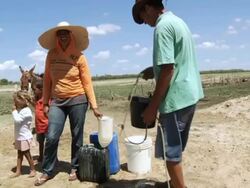MS Shot of Family searching for water / Pilao Arcado, Bahia, Brazil Stock Footage