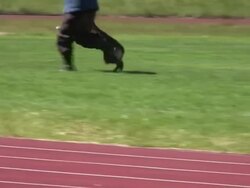 Police dog in action. Stock Footage