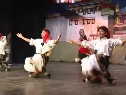 MS ZI Dancers performing stunt moves during performance in India AUDIO / Dharamsala, Himachal Pradesh, India Stock Footage
