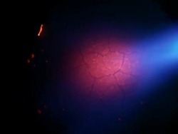 Burglar Stock Footage