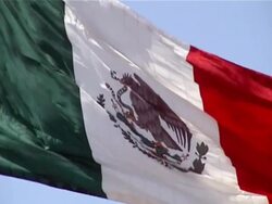 Flag of Mexico Stock Footage