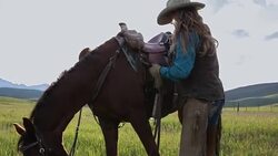 Female rancher petting horse in sunny rural field Stock Footage
