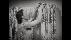 MS Housewife hanging curtain / United States  Stock Footage
