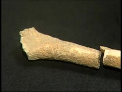 Scientists say bone fragment proves existence of humans 67,000 years ago News Clip