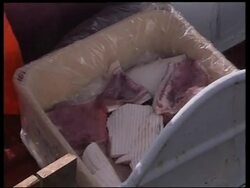 VOICED Iceland resumes whale hunt after 14 years Instructional Video