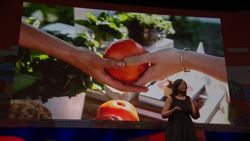 TED: How urban agriculture is transforming Detroit | Devita Davison Instructional Video