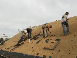 MS Six workers removing nails at top of roof / Chelsea, Michigan, United States Stock Footage