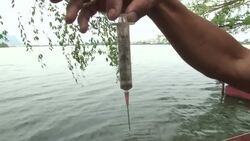 Cleaning up Rio ahead of world sporting events News Clip