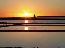 Mozia (Motya), sunset in the pools of salting Stock Footage