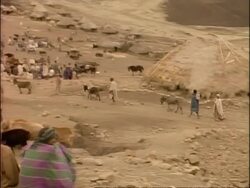 MS panning left to WA, People and animals gathering at village market, traditional huts in background, Ethiopia, Africa Stock Footage