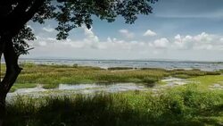 Clouds floating above a lake. Time lapse Stock Footage