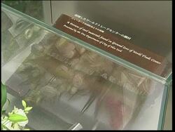 Mizuho Bank staff remember colleagues who died in Twin Towers News Clip