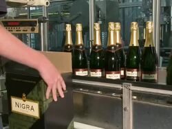 MS Champagne bottles on production line / Wiltingen, Saar-Valley, Rhineland-Palatinate, Germany Stock Footage
