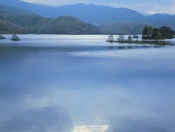 beautiful morning and tree on the Lake Stock Footage