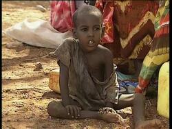 Poverty and famine cause suffering News Clip