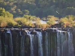 WS Cataratas do Iguacu Falls and birds flying / Foz do Iguacu, Parana, Brazil Stock Footage