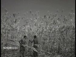 Manchukuo agriculture Instructional Video