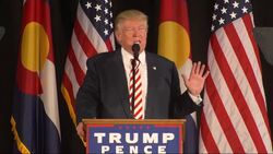 Trump Pushes For Term Limits on Congress Members News Clip