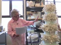 Cakes Of Sylvia Weinstock Stock Footage